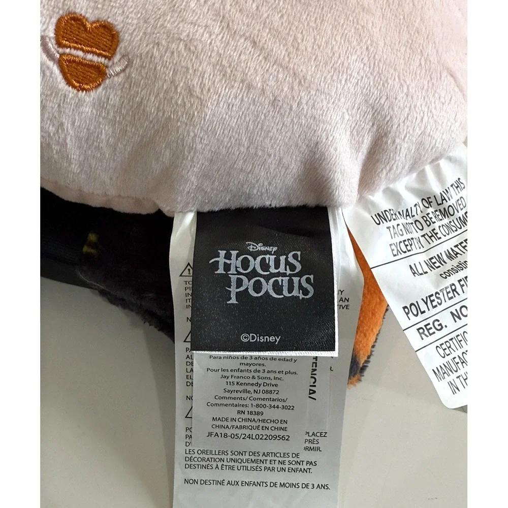 New Disney Hocus Pocus Winifred Sanderson Sister Pillow & Blanket Set Halloween